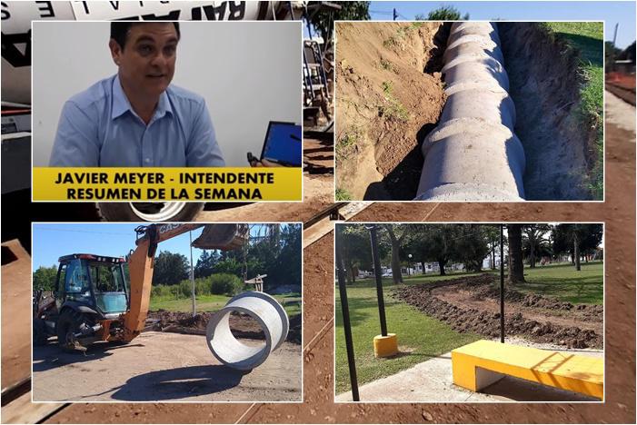 informe al 20 mosaico