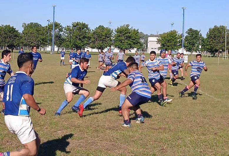 teros buhos