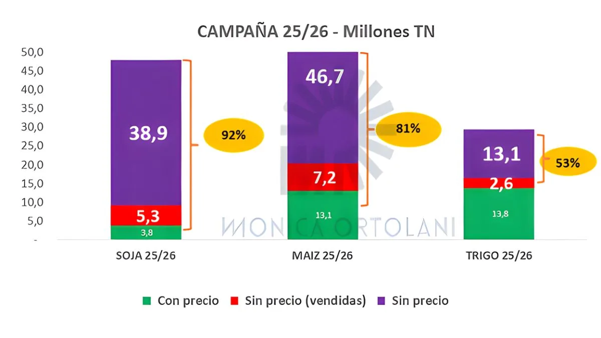 O grafico2026-04-10T151150.667.jpg