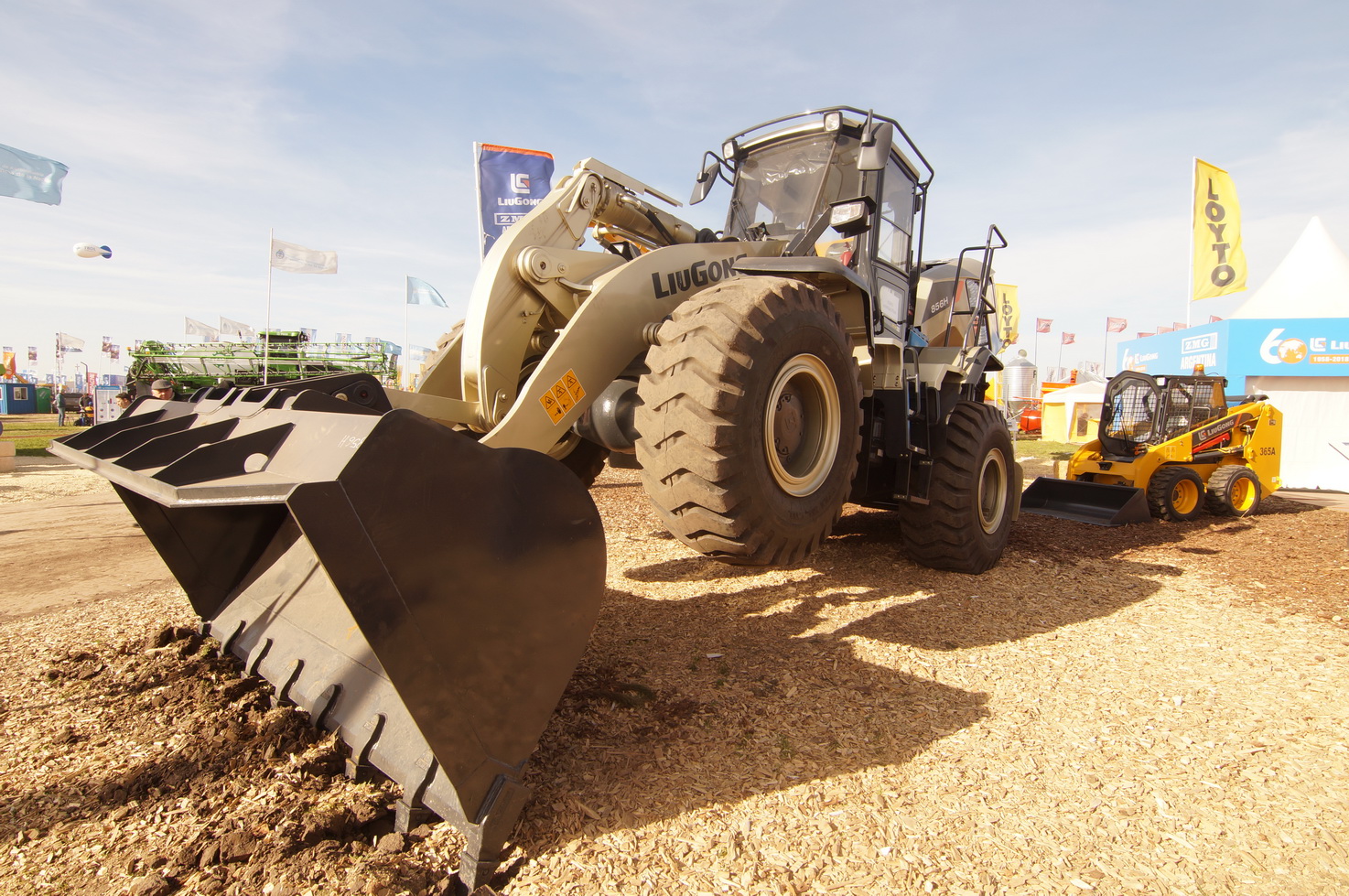 DSC01297_redimensionar