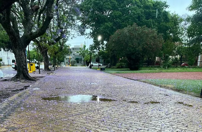 lluvia plaza