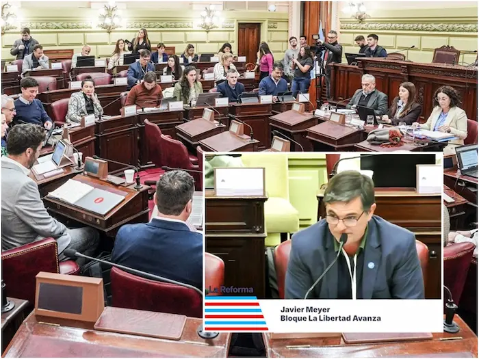 meyer convencion seguridad