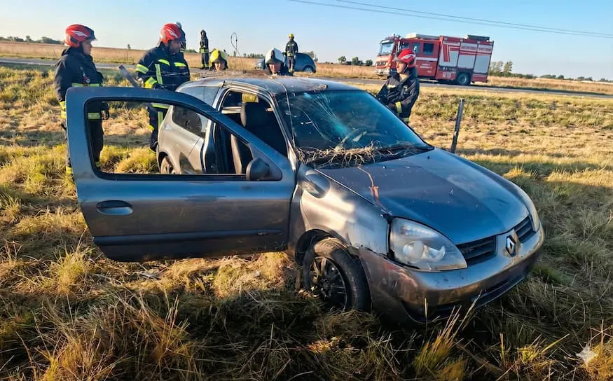 clio despiste armstrong 110126