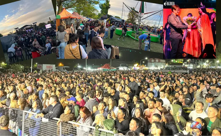 fiesta mate collage