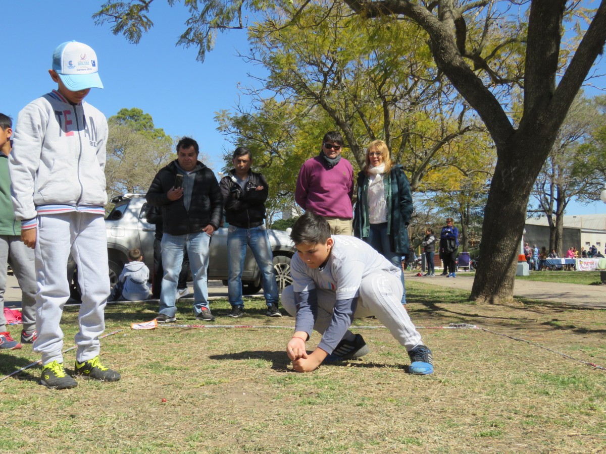 bolitas mdo jugando