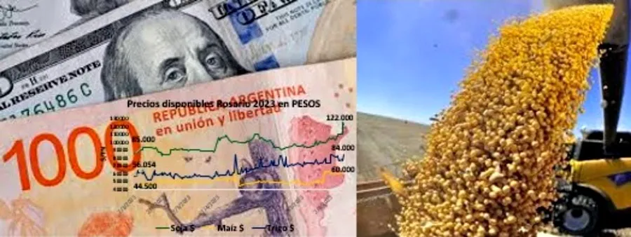 imagen 22