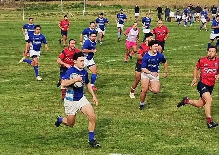 teros nacho