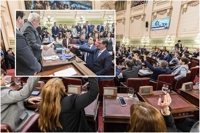 jura convencional meyer Mosaiso