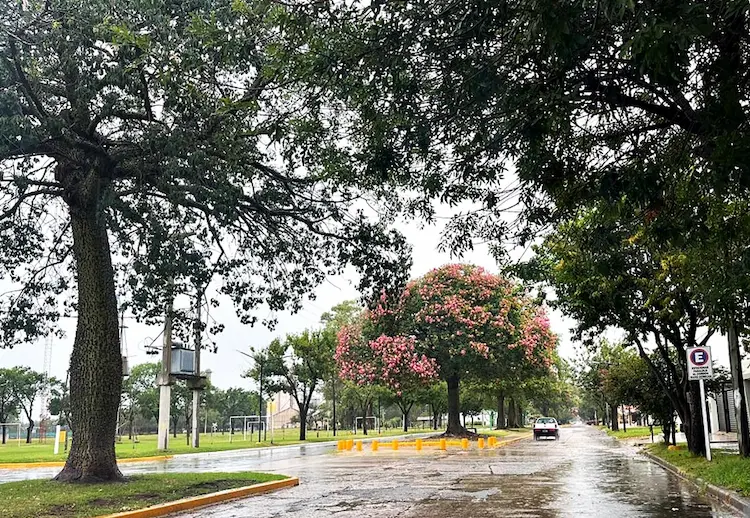 lluvias1202