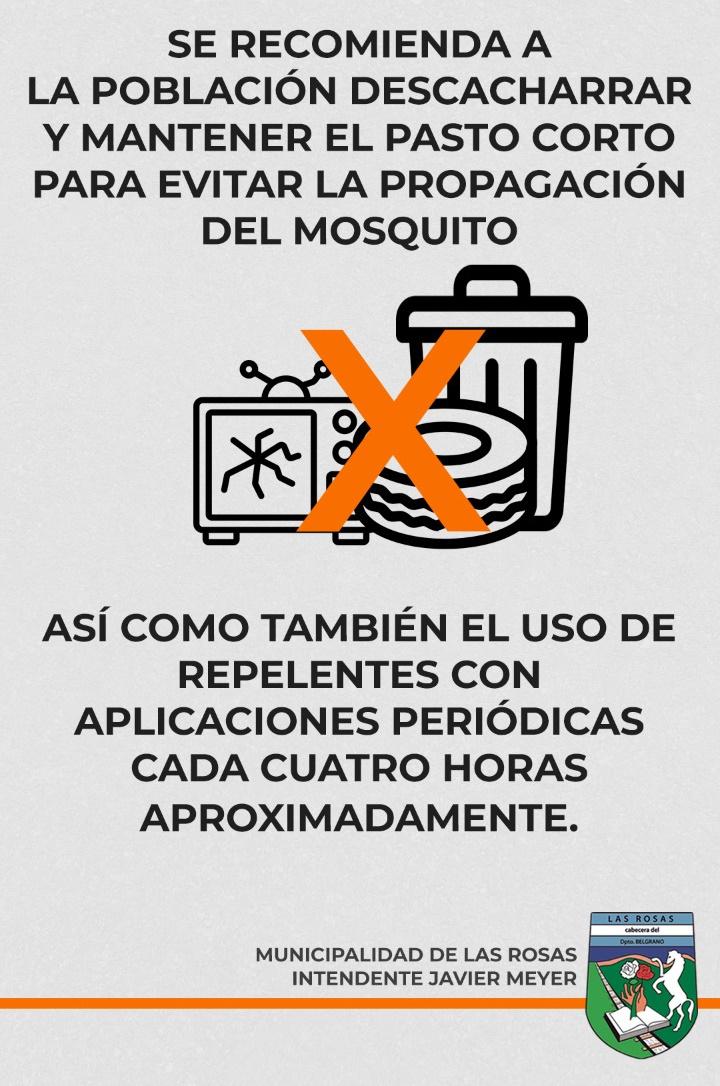 dengue 5 recorte descacharrar muni