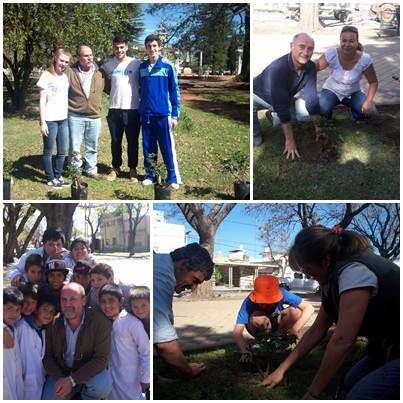 plantemosuncambio-mosaico.jpg