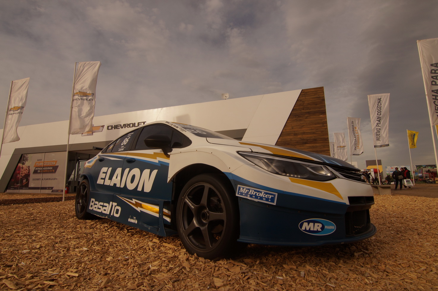 DSC01378_redimensionar