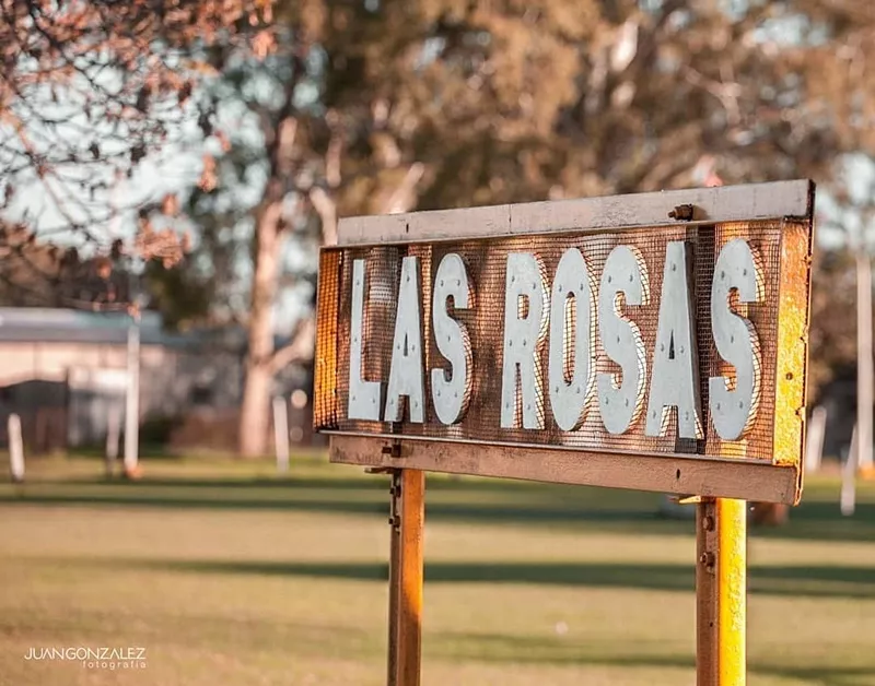 las rosas amanece