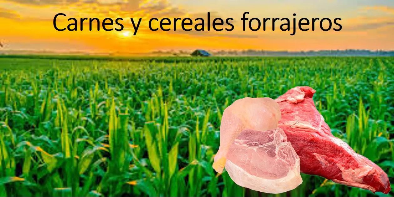 Imagen de referencia 18-04-2022
