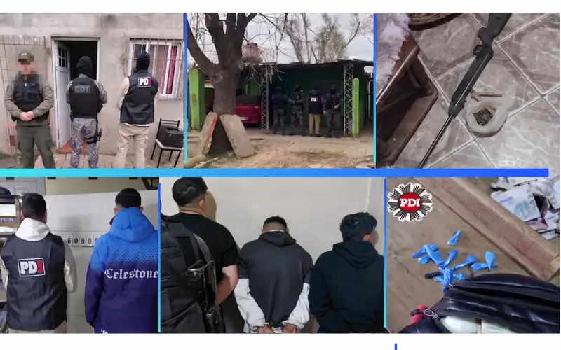 5 allanamientos
