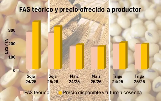 0001_Imagen_de_referencia-01-10-2025