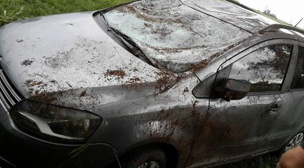 auto-volcado-lacalifornia.JPG