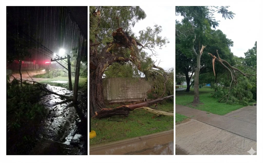 triptico tormenta