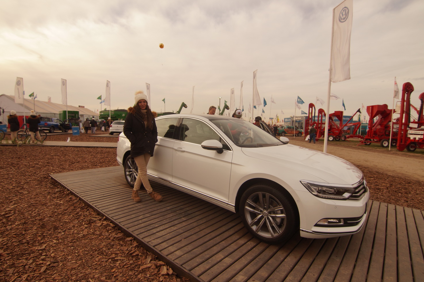 DSC01421_redimensionar