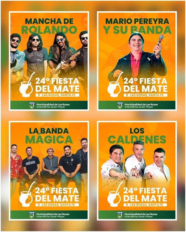 Fiesta mate M