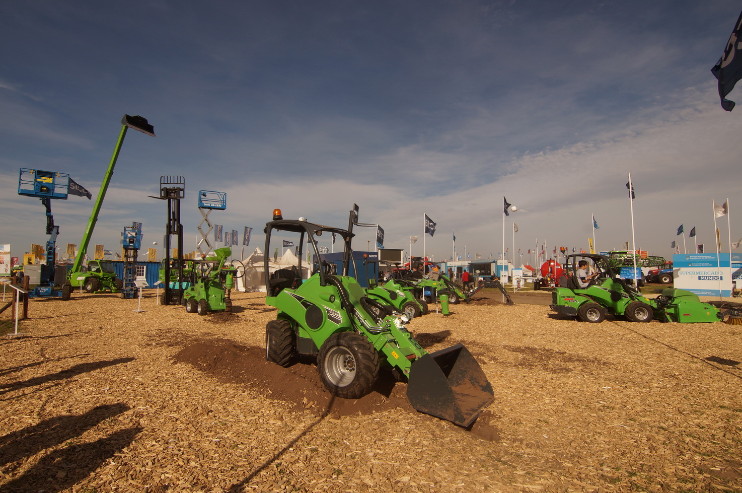 DSC01291_redimensionar