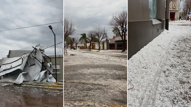 collage_tormenta_las_rosas (1)