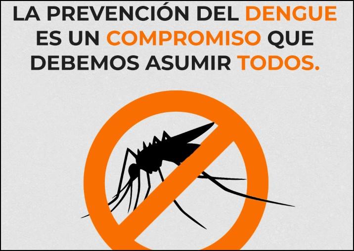 dengue 6 rec