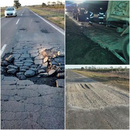 bache-178-mosaico.jpg