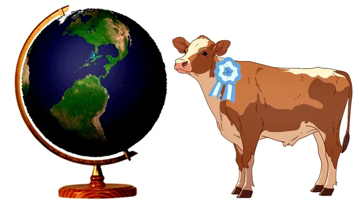 01_Imagen_de_referencia-28-08-2024