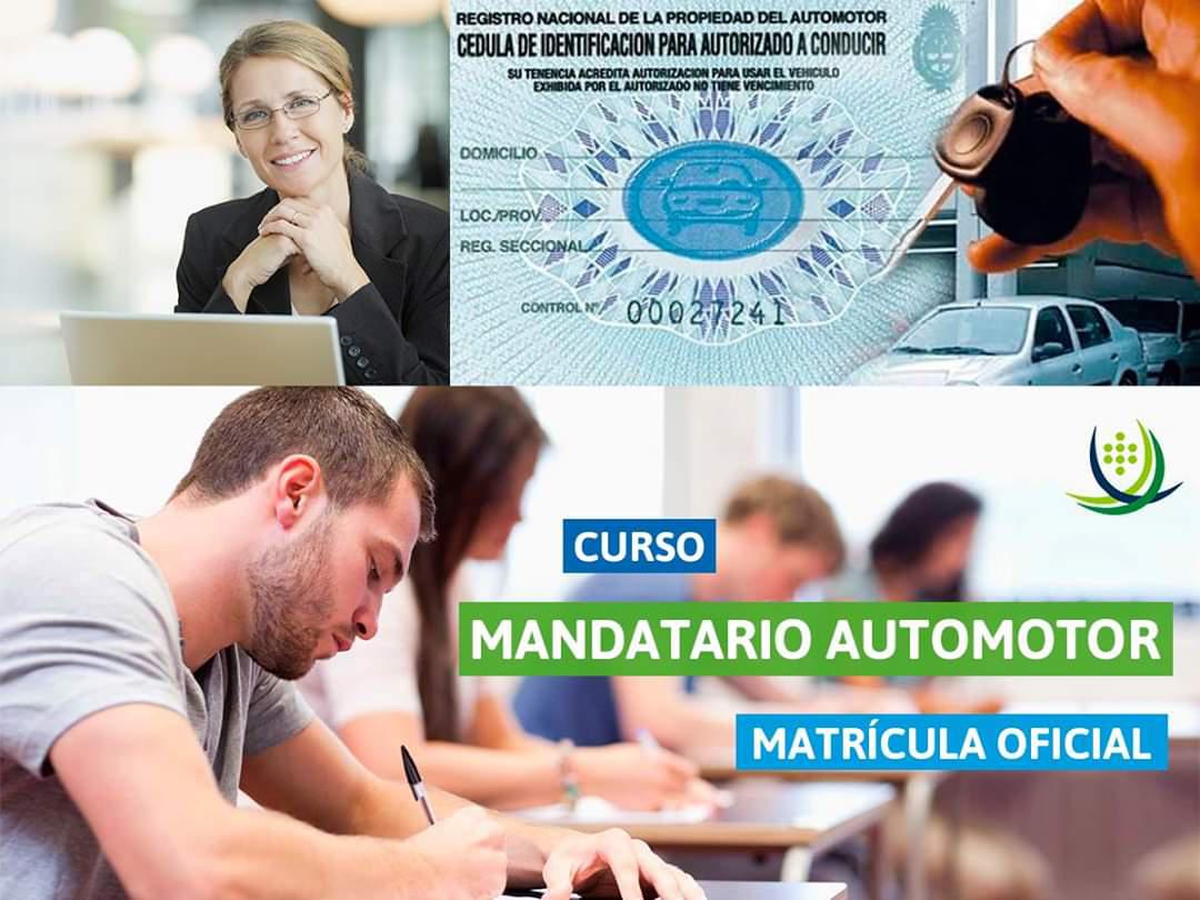 mandatario 2