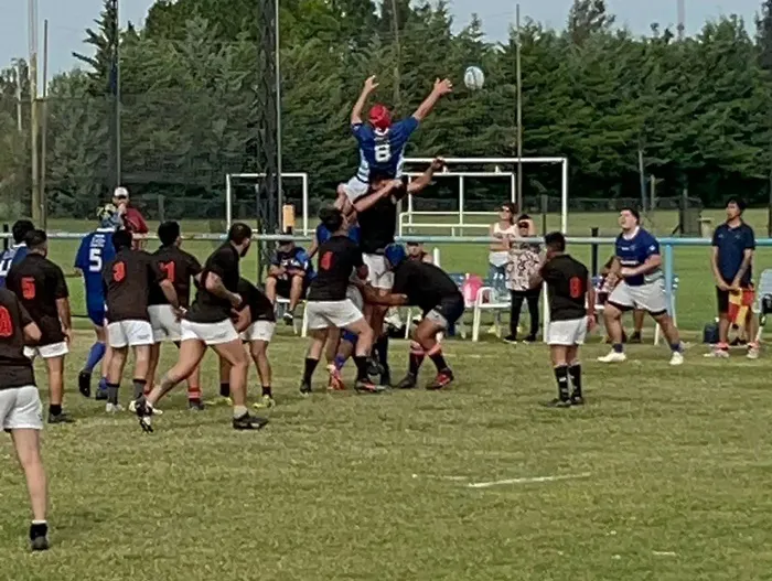 losterosalmafuerte_1713878769308