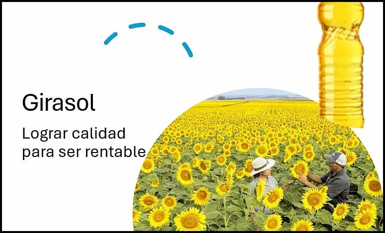 0001_Imagen_de_referencia_25-06-2025