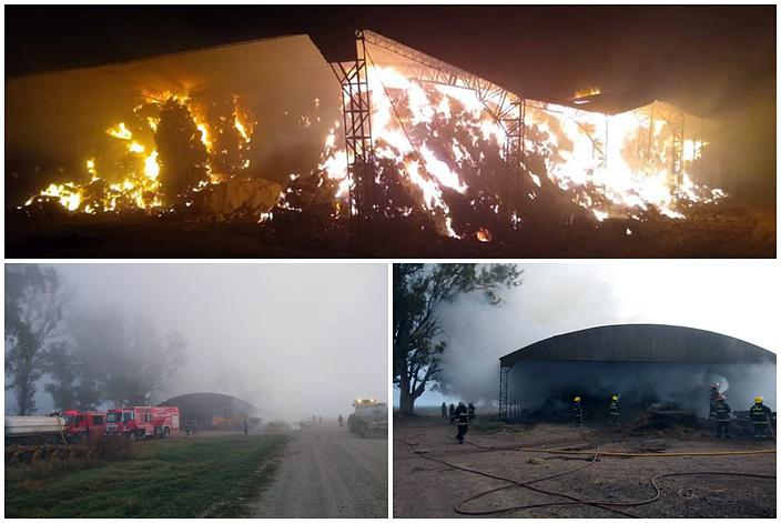 bomberos rollos mosaico