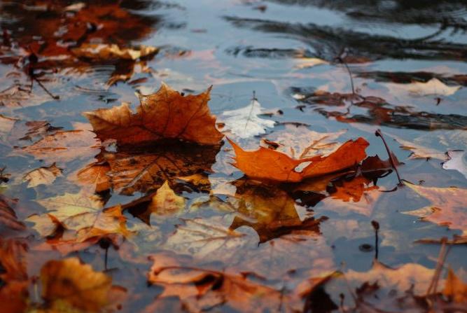 lluvai de otoño