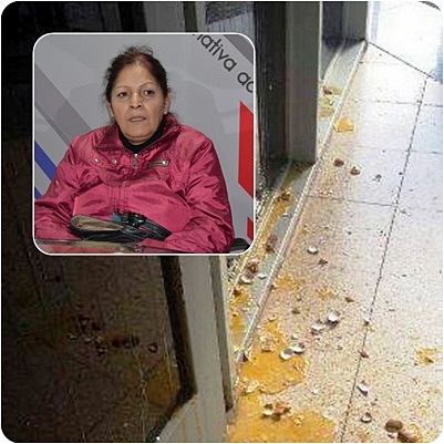 araya-huevos-mosaico.jpg