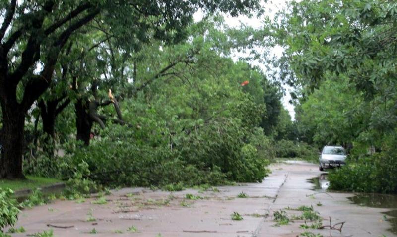 caniadorosquin-tormenta