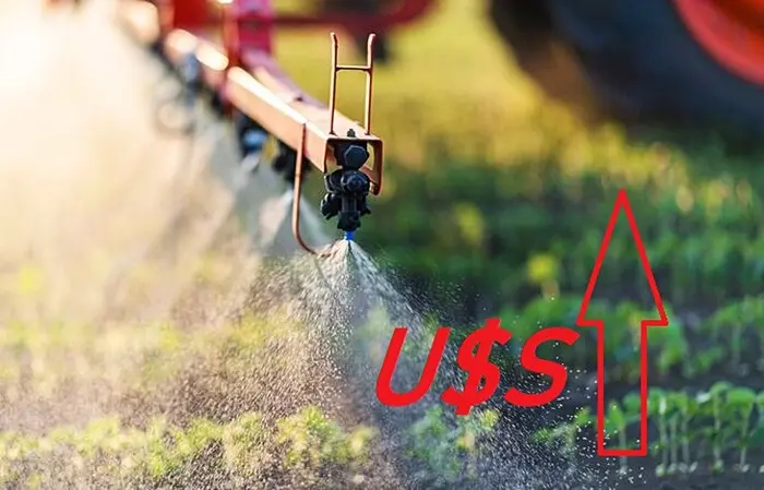 0001_Imagen_de_referencia-11-12-24