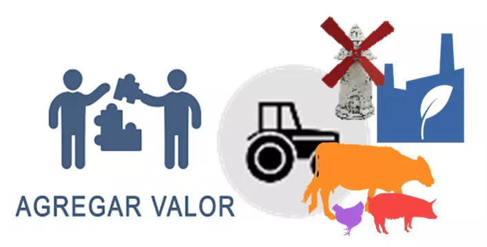 imagen de referencia 03-01-2022[5675]