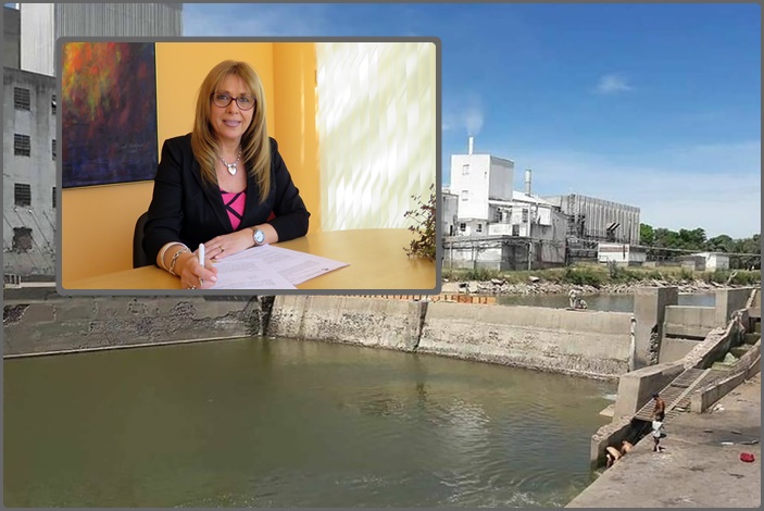 cg represa mosaico