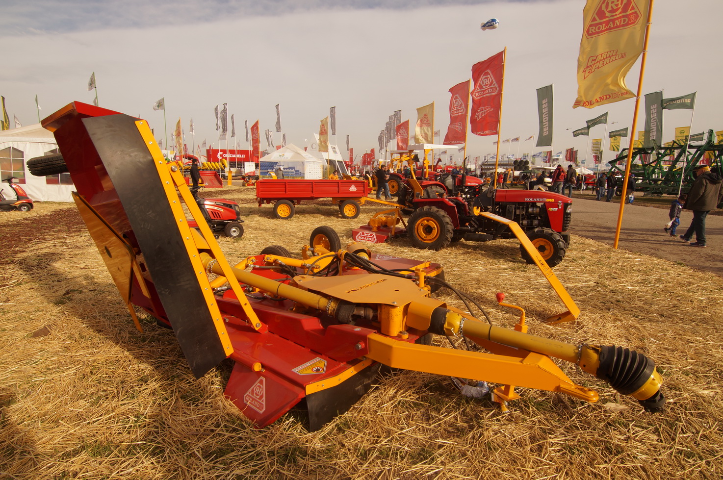 DSC01328_redimensionar