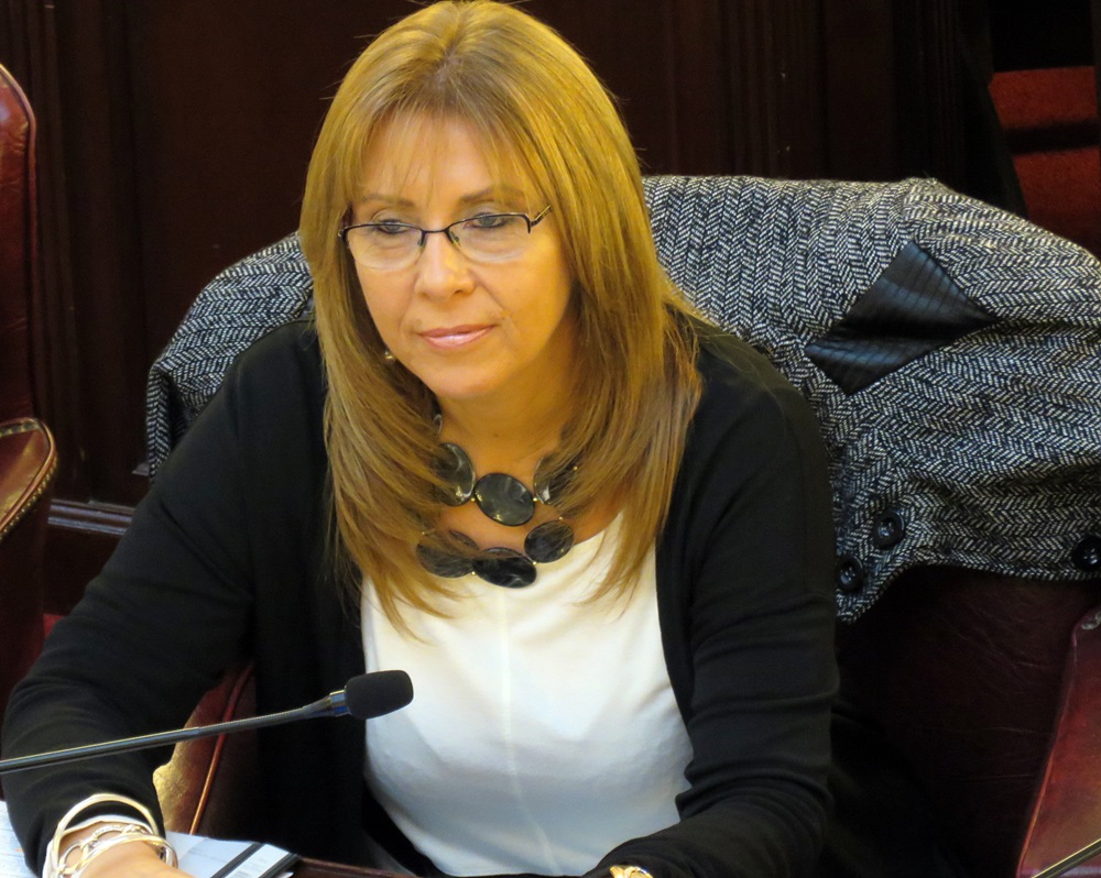 cG en diputados 070618 1000px