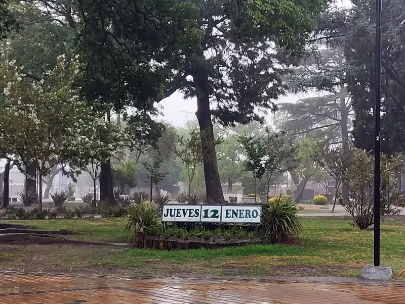 lluvia plaza 12-1