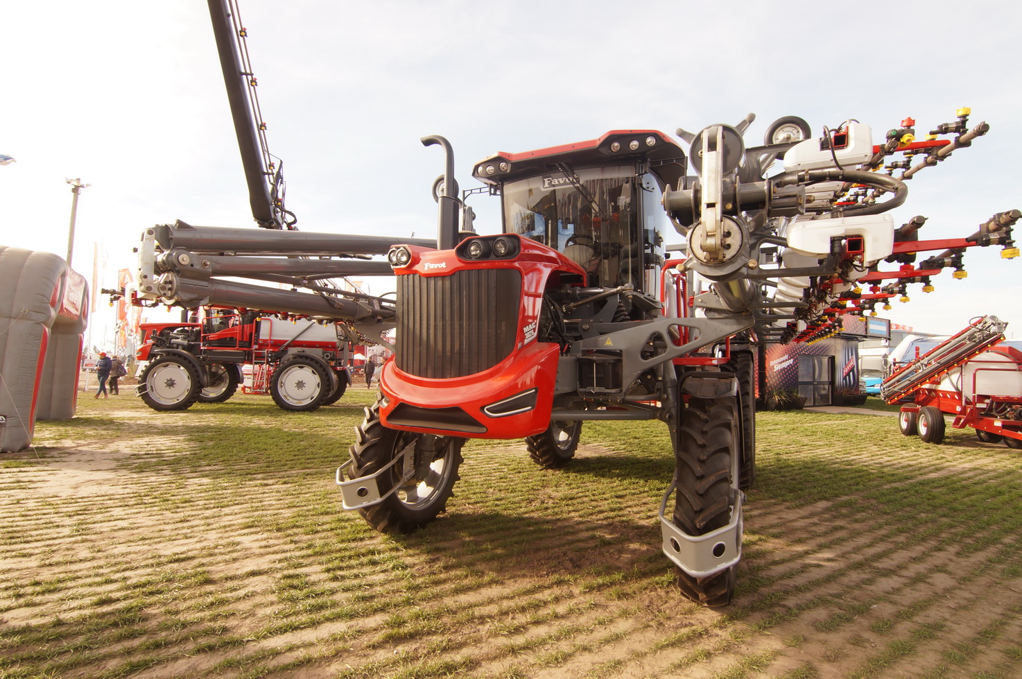 DSC01313_redimensionar