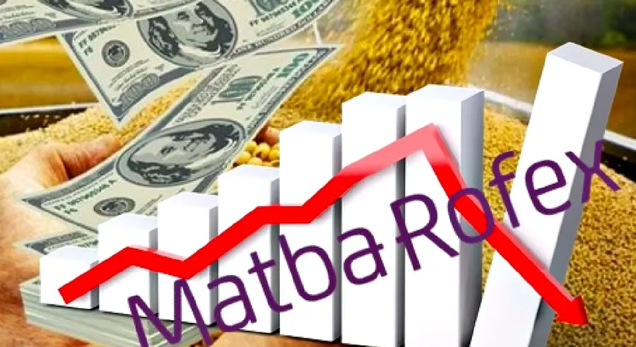 0001_Imagen_de_referencia_13-11-24