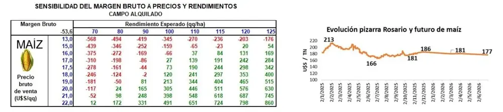 2 Captura de pantalla 2025-11-12 224342