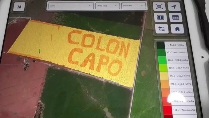 colon capo