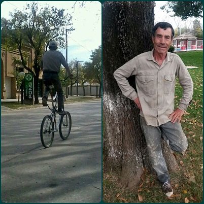 bici-perica-mosaico.jpg