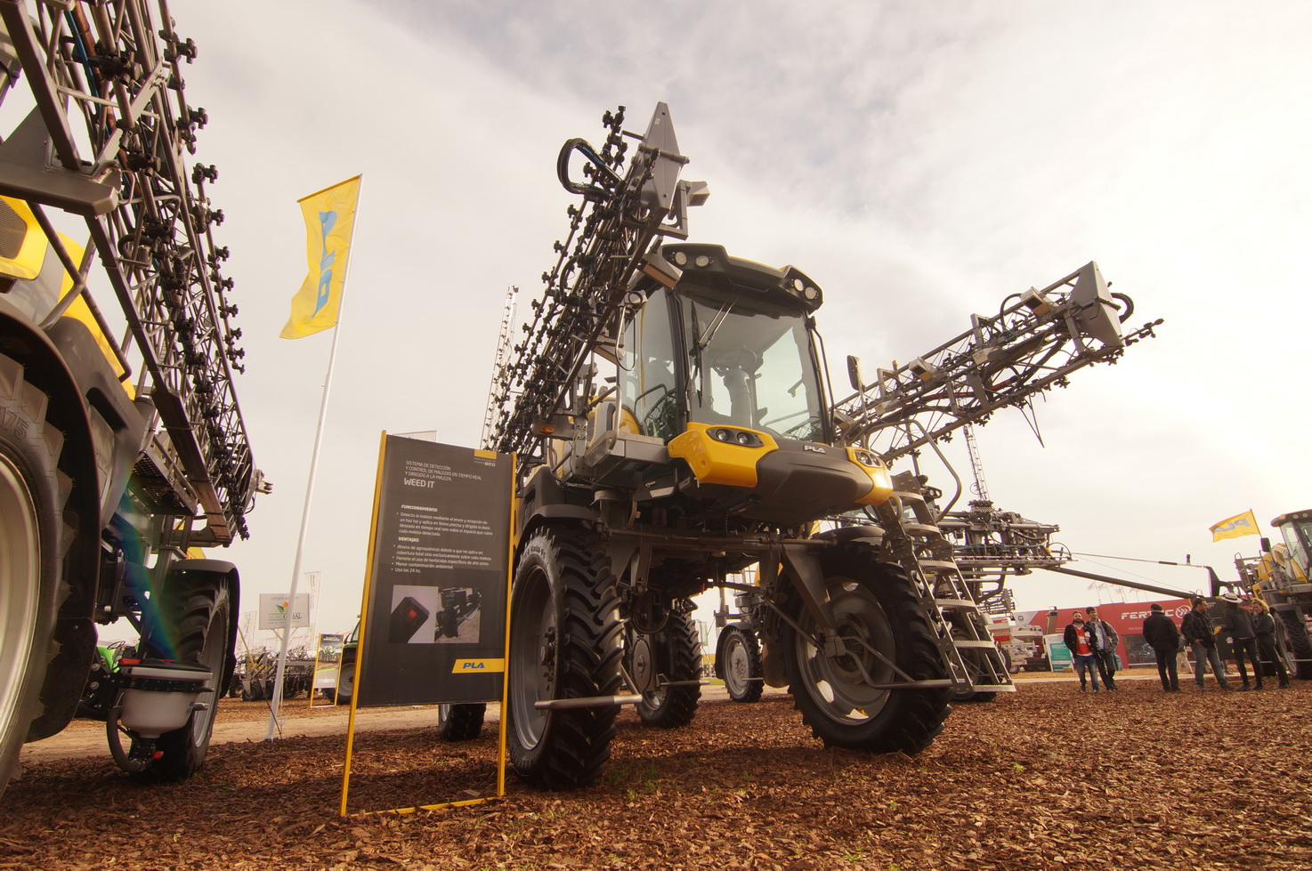 DSC01365_redimensionar