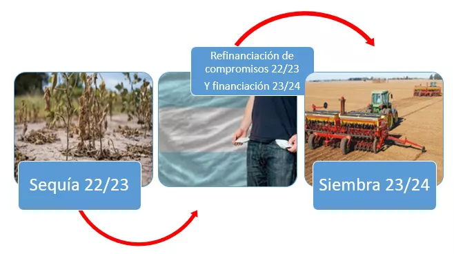 13-03-2023-Imagen de referencia