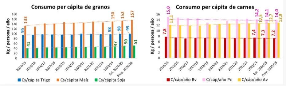 grafico 6
